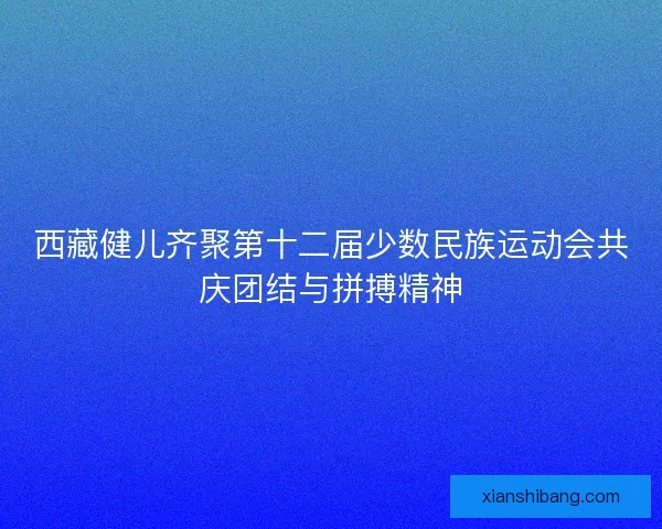 西藏健儿齐聚第十二届少数民族运动会共庆团结与拼搏精神