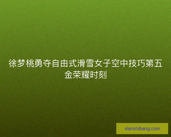 徐梦桃勇夺自由式滑雪女子空中技巧第五金荣耀时刻